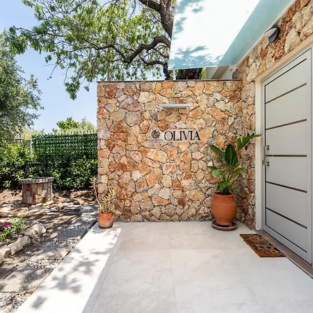 Infinity Premium Villa