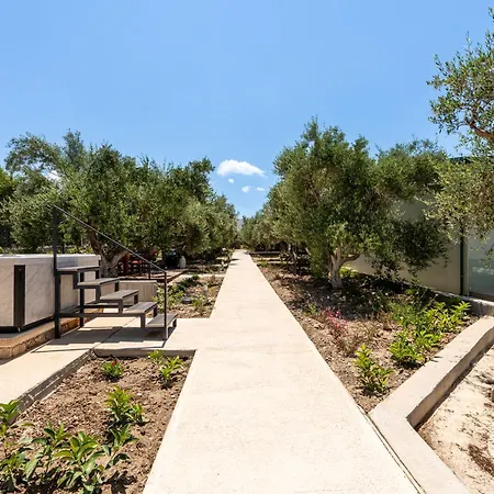 Infinity Premium Кос